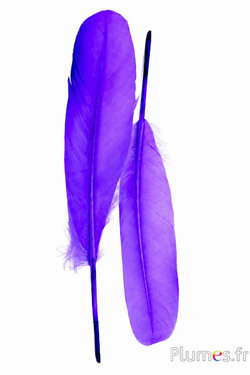Schwan Seide - 25-30 cm - violett